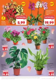 Kaufland gazetka tydzień 26 Strona 7