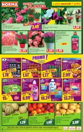 Catalogue Norma semaine 27 page 4