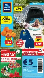 Hofer Flugblatt woche 26 Seite 1