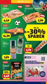 Hofer Flugblatt woche 26 Seite 13