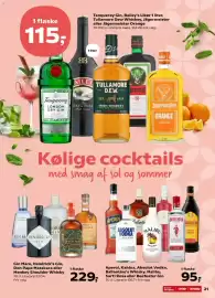 Kvickly tilbudsavis uge 26 Side 21