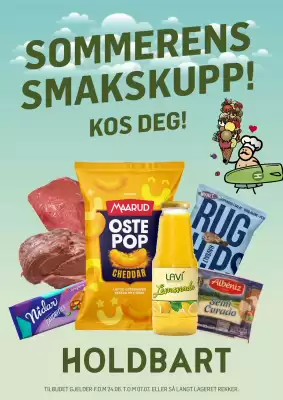 Holdbart (gyldig til 6-07)