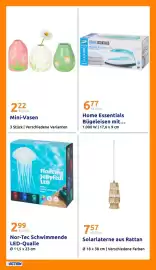 Action Prospekt woche 26 Seite 21