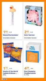 Action Flugblatt woche 26 Seite 27