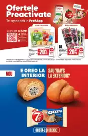 Catalog PROFI Pagină 11