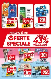 Catalog PROFI Pagină 3