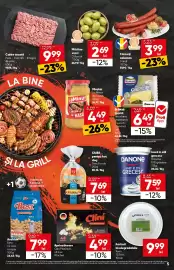 Catalog PROFI Pagină 5