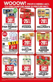 Catalog PROFI Pagină 7