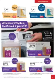 Prowin Katalog Seite 29