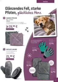 Prowin Katalog Seite 51