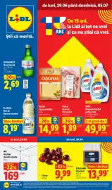 Catalog Lidl săptămâna 27 Pagină 1