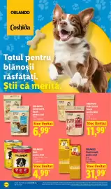 Catalog Lidl săptămâna 27 Pagină 40