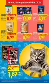 Catalog Lidl săptămâna 27 Pagină 41