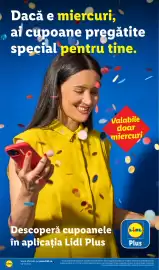 Catalog Lidl săptămâna 27 Pagină 42