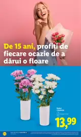 Catalog Lidl săptămâna 27 Pagină 54