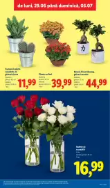 Catalog Lidl săptămâna 27 Pagină 55