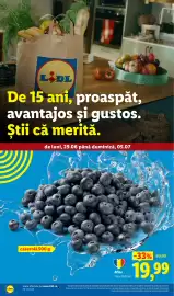 Catalog Lidl săptămâna 27 Pagină 8