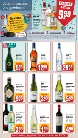 REWE PETZ Prospekt woche 26 Seite 21