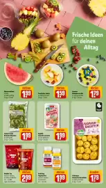 REWE PETZ Prospekt woche 26 Seite 24