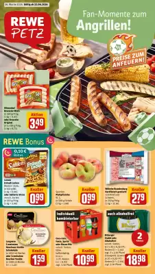 REWE PETZ Prospekt (gültig bis 27-06)