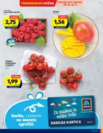 Hofer Flugblatt woche 26 Seite 11