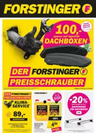 Forstinger Flugblatt Seite 1