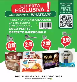 Volantino Coop Master Alleanza 3.0 Pagina 17