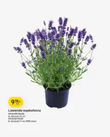Castorama gazetka Strona 7
