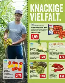 Feneberg Prospekt Seite 8