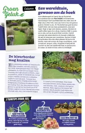 Ditjes en datjes folder Pagina 38