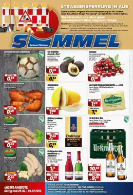 Simmel (gültig bis 4-07)
