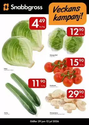 Snabbgross reklamblad