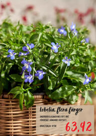 Blomsterlandet reklamblad Sida 8