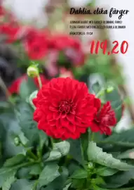 Blomsterlandet reklamblad Sida 2