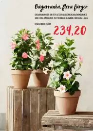 Blomsterlandet reklamblad Sida 3