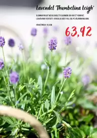 Blomsterlandet reklamblad Sida 4