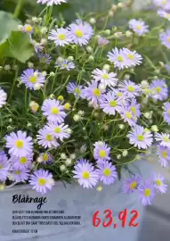 Blomsterlandet reklamblad Sida 5