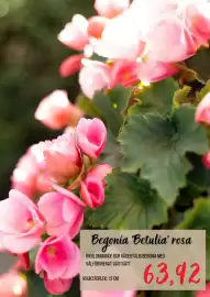 Blomsterlandet reklamblad Sida 7