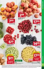 Stokrotka gazetka tydzień 26 Strona 15