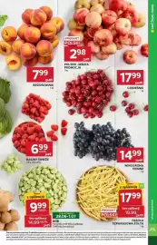 Stokrotka gazetka tydzień 26 Strona 15