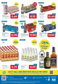T&G Flugblatt Seite 8