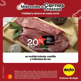 Catálogo Éxito Página 2