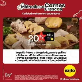 Catálogo Éxito Página 5