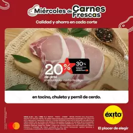 Catálogo Éxito Página 6