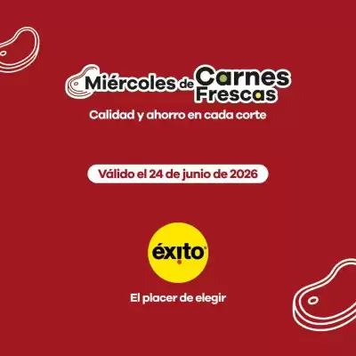 Éxito (válido hasta 24-06)