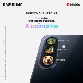 Catálogo Naldo Lombardi semana 26 Página 2