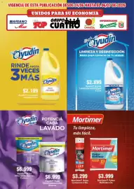 Catálogo Supermercados Mariano Max Página 10