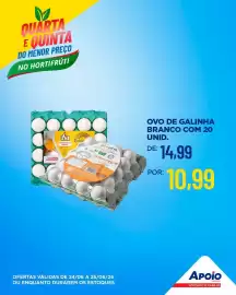 Folheto Apoio Mineiro Página 4