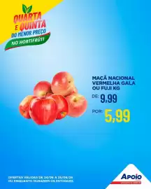 Folheto Apoio Mineiro Página 6