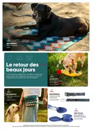 Mondou flyer Page 2